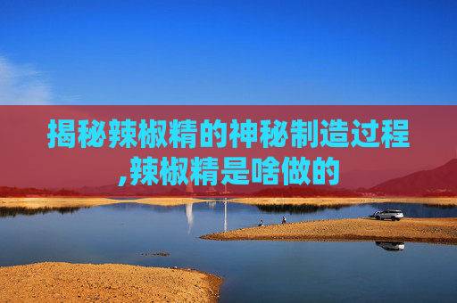 揭秘辣椒精的神秘制造过程,辣椒精是啥做的