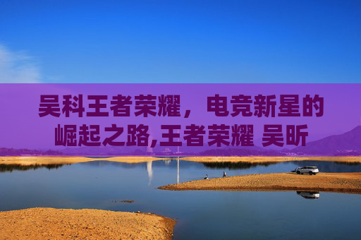 吴科王者荣耀，电竞新星的崛起之路,王者荣耀 吴昕