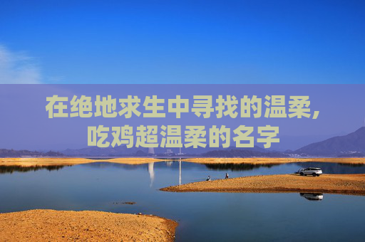 在绝地求生中寻找的温柔,吃鸡超温柔的名字