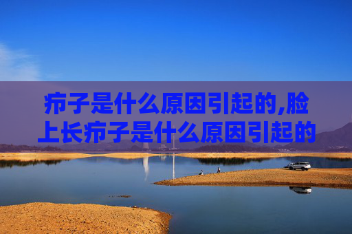 疖子是什么原因引起的,脸上长疖子是什么原因引起的 疖子是什么原因引起的,脸上长疖子是什么原因引起的