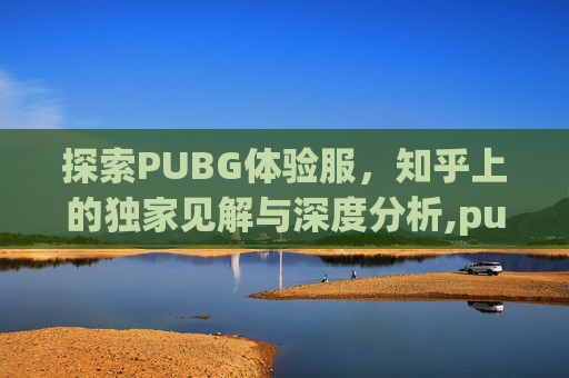 探索PUBG体验服，知乎上的独家见解与深度分析,pubg体验服端游