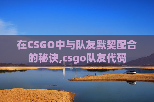 在CSGO中与队友默契配合的秘诀,csgo队友代码 在CSGO中与队友默契配合的秘诀,csgo队友代码