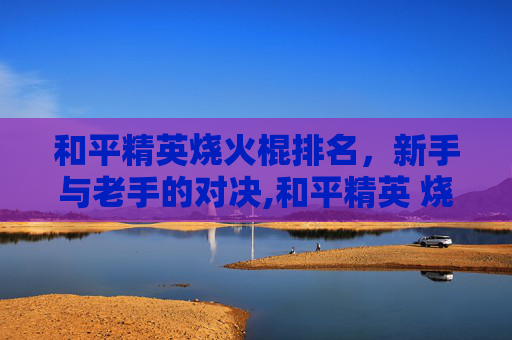 和平精英烧火棍排名，新手与老手的对决,和平精英 烧火取暖是什么模式