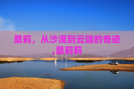 桑莉，从沙漠到云端的奇迹,桑莉莉