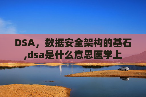 DSA,数据安全架构的基石,dsa是什么意思医学上 DSA,数据安全架构的基石,dsa是什么意思医学上