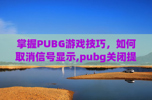 掌握PUBG游戏技巧,如何取消信号显示,pubg关闭提示 掌握PUBG游戏技巧,如何取消信号显示,pubg关闭提示