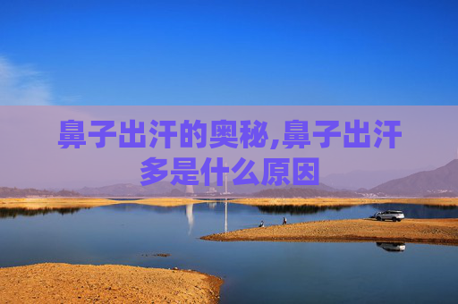 鼻子出汗的奥秘,鼻子出汗多是什么原因 鼻子出汗的奥秘,鼻子出汗多是什么原因