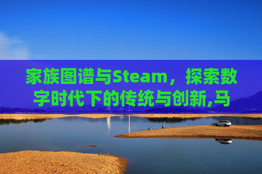 家族图谱与Steam，探索数字时代下的传统与创新,马斯克家族图谱