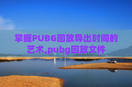 掌握PUBG回放导出时间的艺术,pubg回放文件