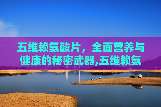 五维赖氨酸片，全面营养与健康的秘密武器,五维赖氨酸片对孩子有什么好处
