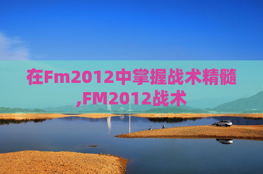 在Fm2012中掌握战术精髓,FM2012战术