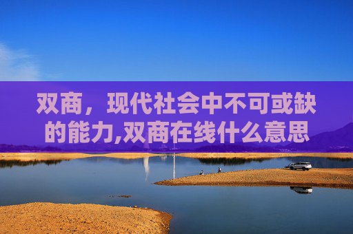 双商，现代社会中不可或缺的能力,双商在线什么意思