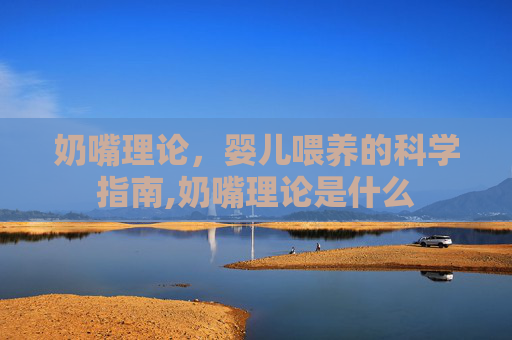 奶嘴理论,婴儿喂养的科学指南,奶嘴理论是什么 奶嘴理论,婴儿喂养的科学指南,奶嘴理论是什么