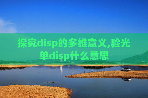 探究disp的多维意义,验光单disp什么意思