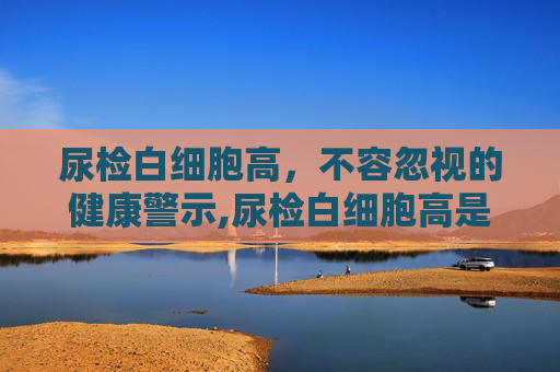 尿检白细胞高，不容忽视的健康警示,尿检白细胞高是什么原因