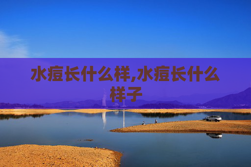 水痘长什么样,水痘长什么样子
