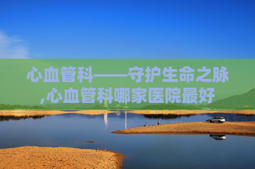 心血管科——守护生命之脉,心血管科哪家医院最好