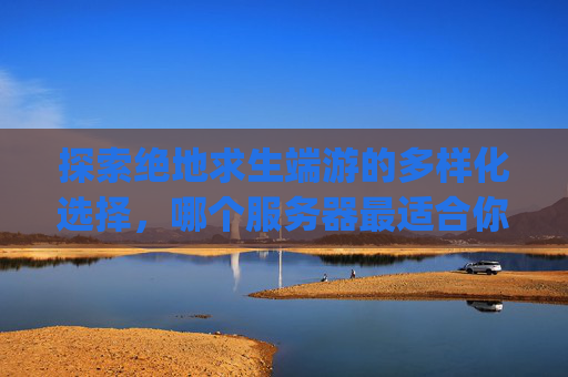 探索绝地求生端游的多样化选择，哪个服务器最适合你？,pubg哪个服务器好