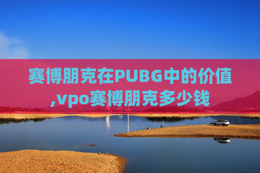 赛博朋克在PUBG中的价值,vpo赛博朋克多少钱