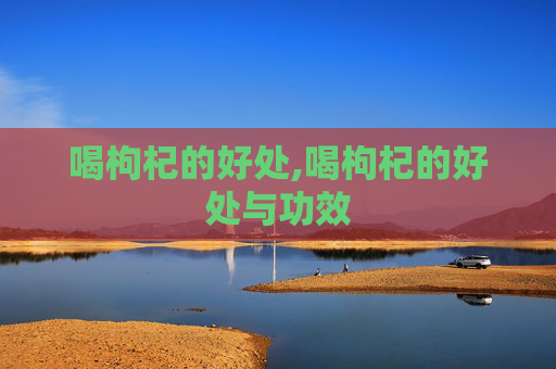 喝枸杞的好处,喝枸杞的好处与功效
