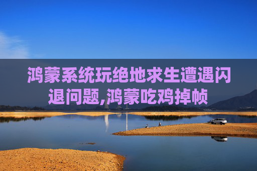 鸿蒙系统玩绝地求生遭遇闪退问题,鸿蒙吃鸡掉帧
