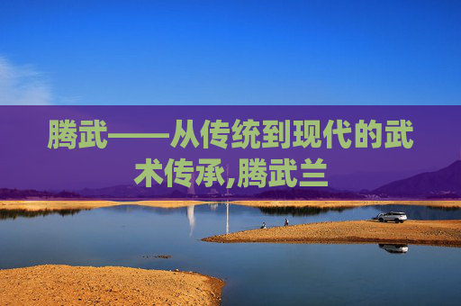 腾武——从传统到现代的武术传承,腾武兰