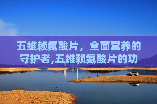 五维赖氨酸片，全面营养的守护者,五维赖氨酸片的功效和作用