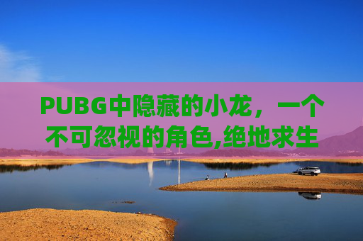 PUBG中隐藏的小龙，一个不可忽视的角色,绝地求生pubg小龙虾套装