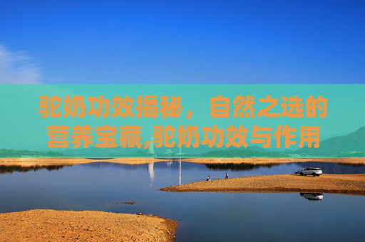 驼奶功效揭秘，自然之选的营养宝藏,驼奶功效与作用营养价值