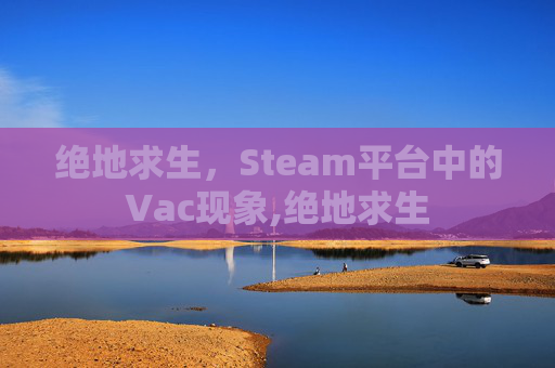绝地求生，Steam平台中的Vac现象,绝地求生