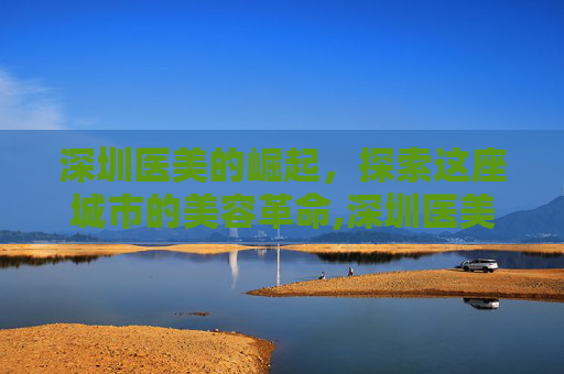 深圳医美的崛起，探索这座城市的美容革命,深圳医美整形医院排行榜