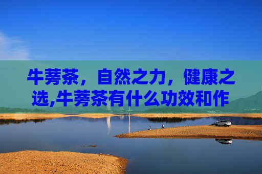 牛蒡茶，自然之力，健康之选,牛蒡茶有什么功效和作用