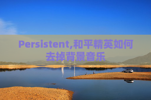 Persistent,和平精英如何去掉背景音乐