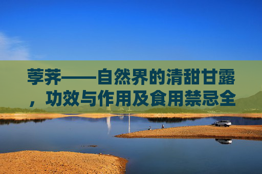 荸荠——自然界的清甜甘露，功效与作用及食用禁忌全解析,荸荠的功效与作用及禁忌是什么