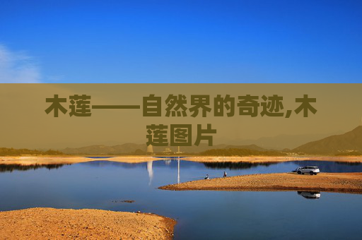 木莲——自然界的奇迹,木莲图片