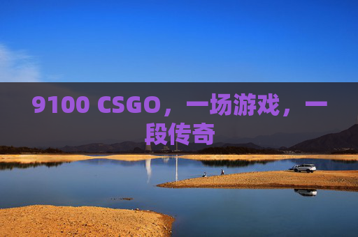 9100 CSGO，一场游戏，一段传奇