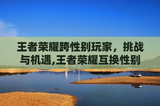 王者荣耀跨性别玩家，挑战与机遇,王者荣耀互换性别