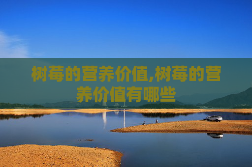 树莓的营养价值,树莓的营养价值有哪些