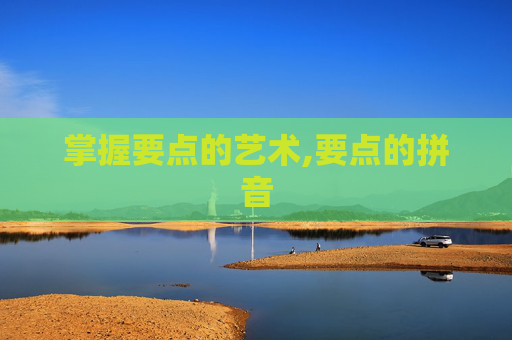 掌握要点的艺术,要点的拼音