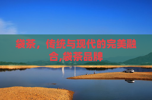 袋茶，传统与现代的完美融合,袋茶品牌