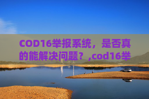 COD16举报系统，是否真的能解决问题？,cod16举报有用吗