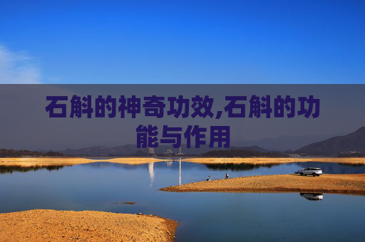 石斛的神奇功效,石斛的功能与作用