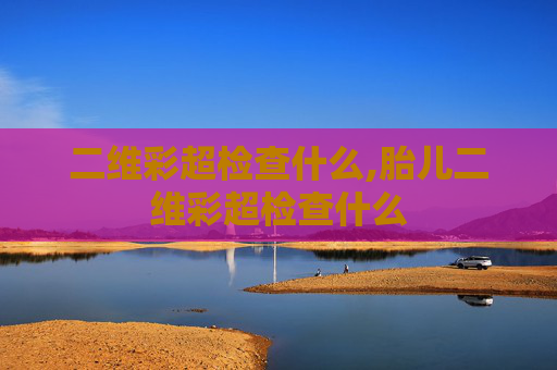 二维彩超检查什么,胎儿二维彩超检查什么