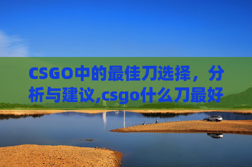 CSGO中的最佳刀选择，分析与建议,csgo什么刀最好玩