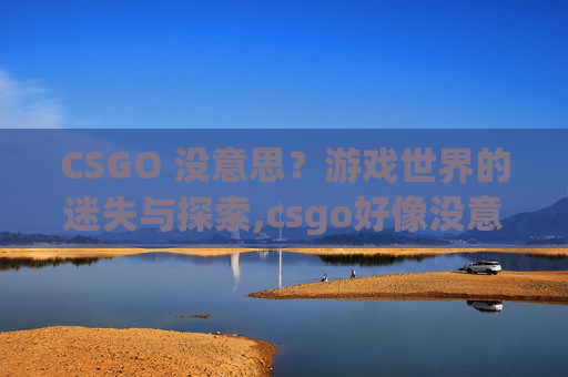 CSGO 没意思？游戏世界的迷失与探索,csgo好像没意思了