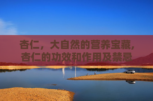 杏仁，大自然的营养宝藏,杏仁的功效和作用及禁忌