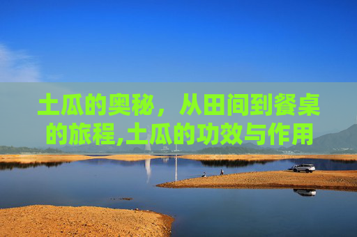 土瓜的奥秘，从田间到餐桌的旅程,土瓜的功效与作用