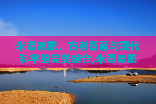 米酒减肥，古老智慧与现代科学的完美结合,米酒减肥还是增肥