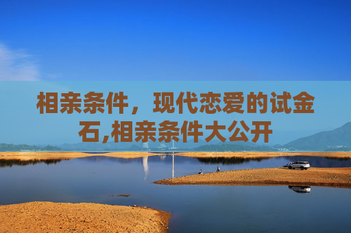 相亲条件，现代恋爱的试金石,相亲条件大公开