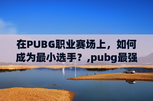 在PUBG职业赛场上，如何成为最小选手？,pubg最强职业选手